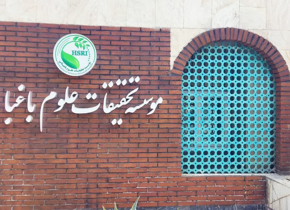 آلبوم