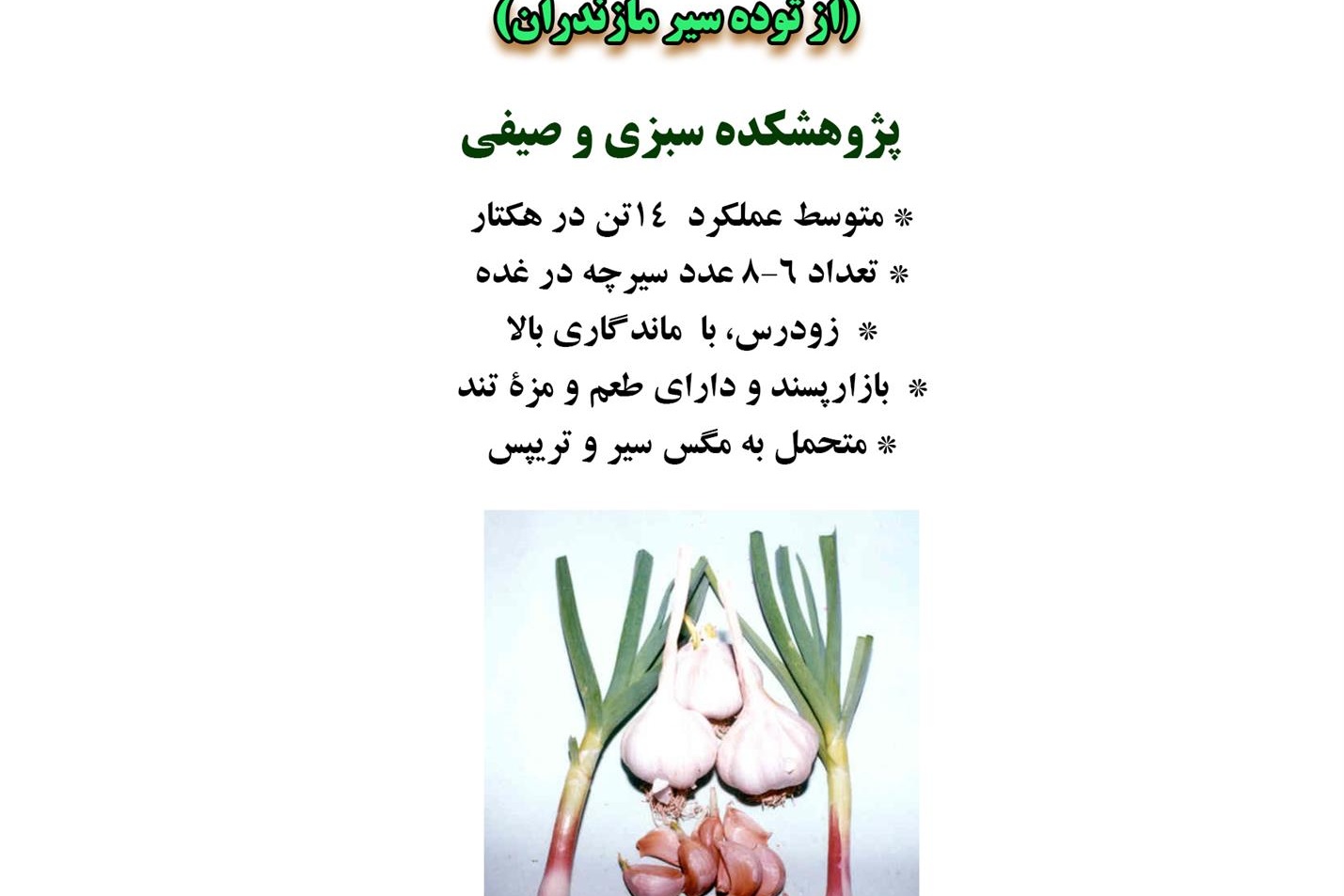 فن بازار