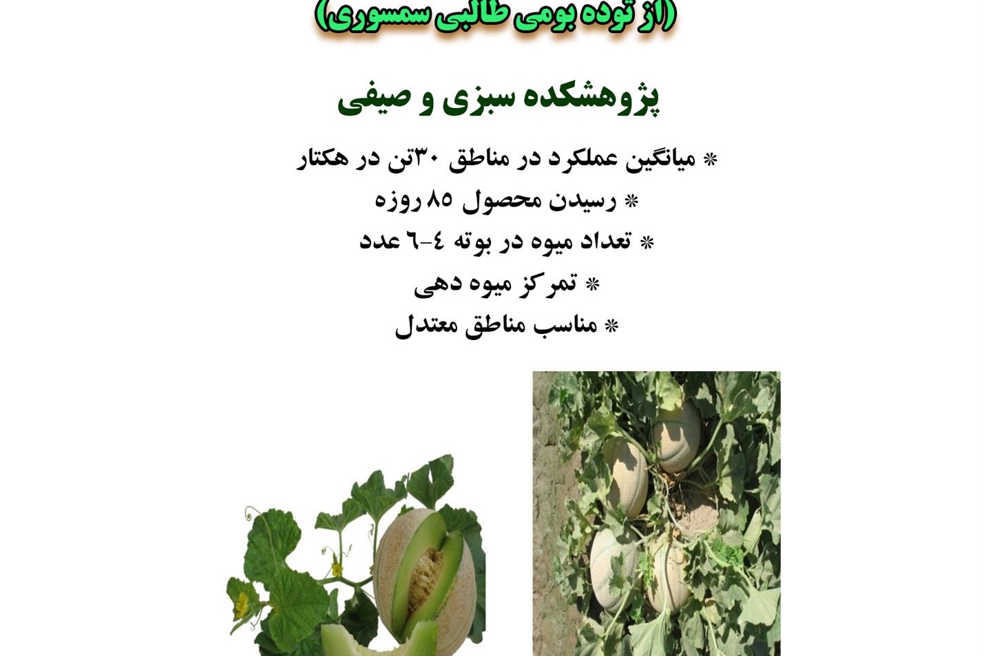 فن بازار