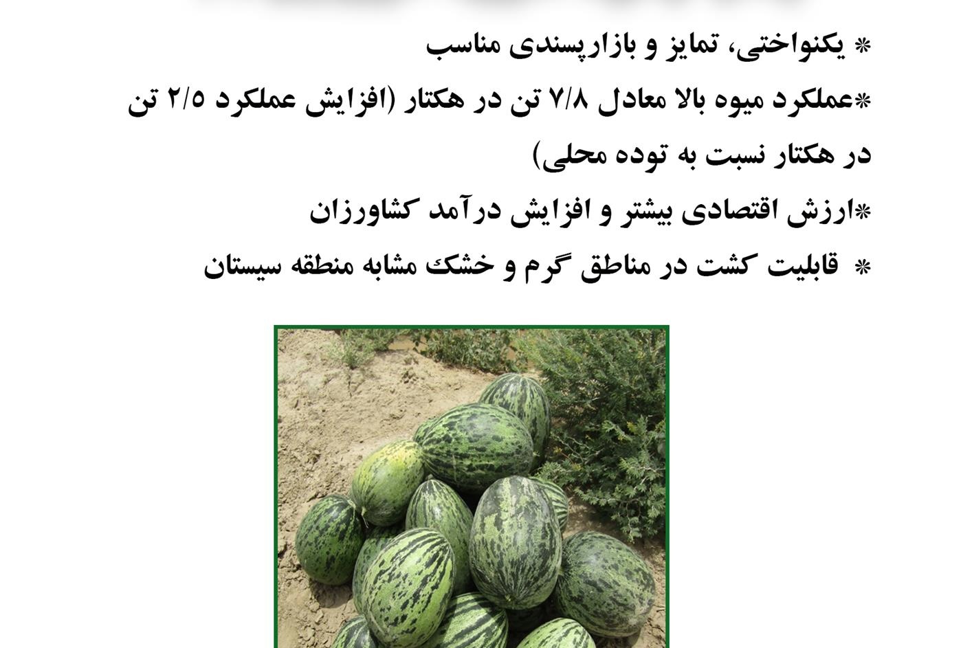 فن بازار