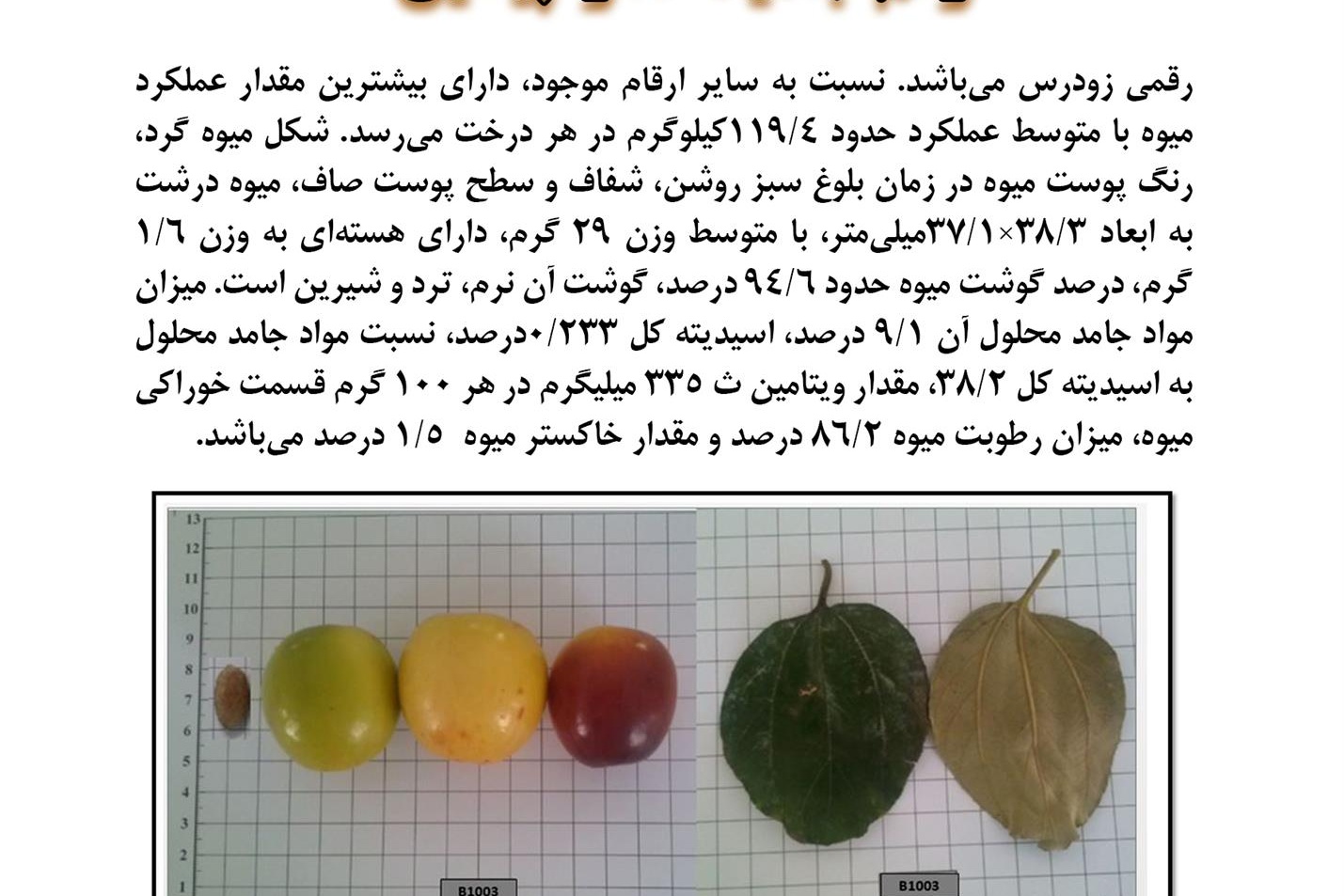 فن بازار
