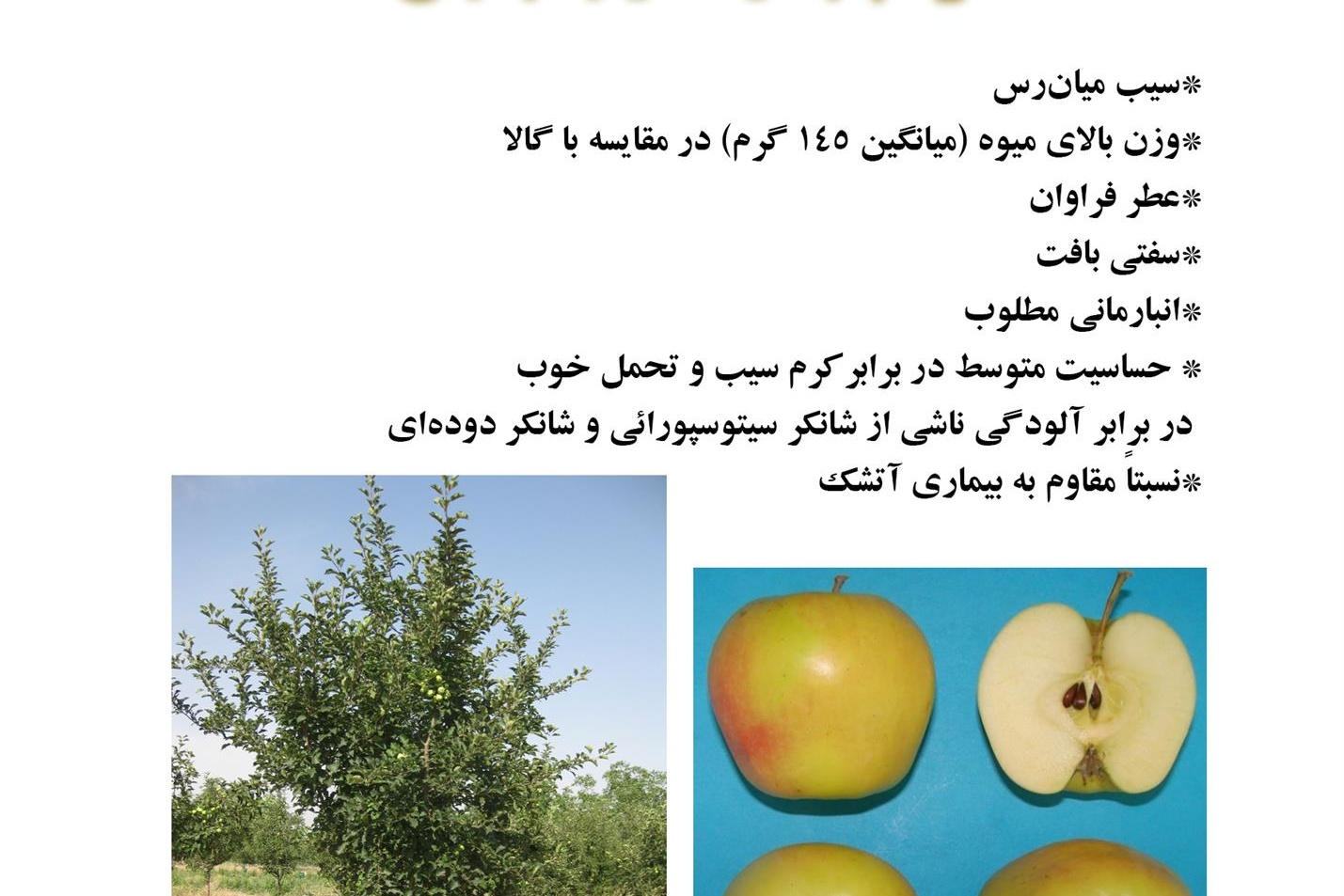فن بازار