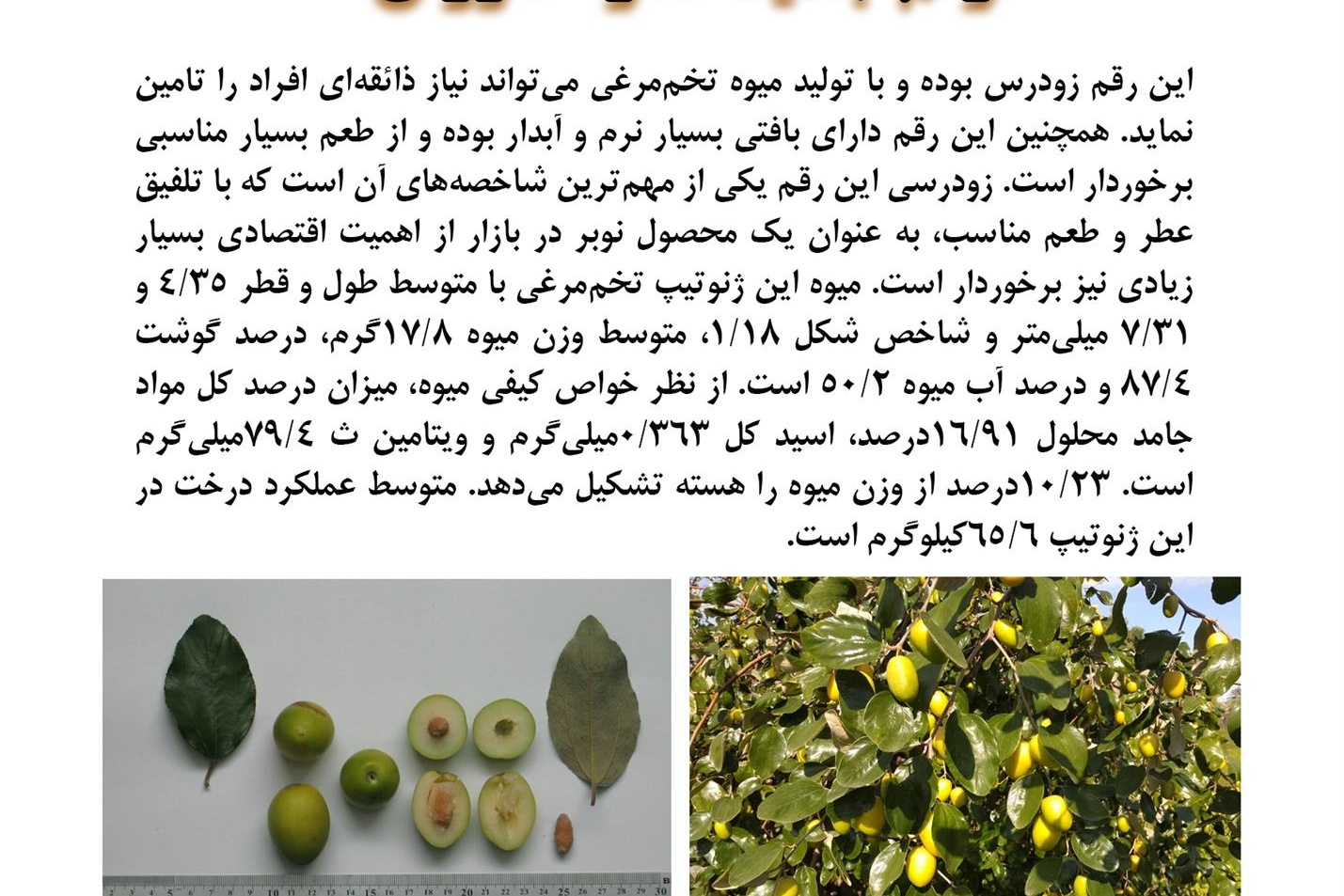 فن بازار