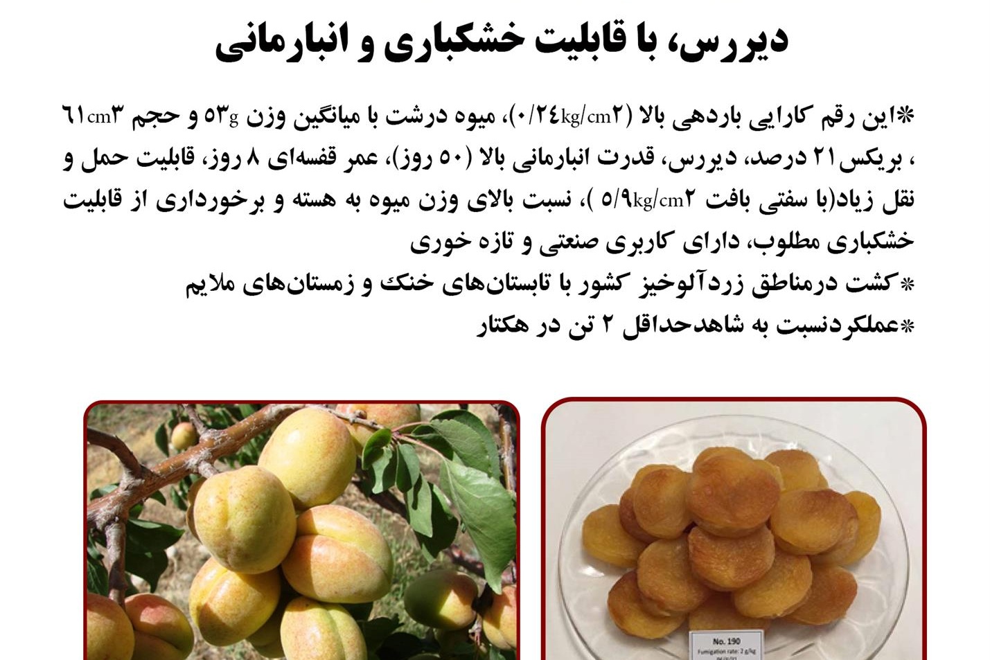 فن بازار