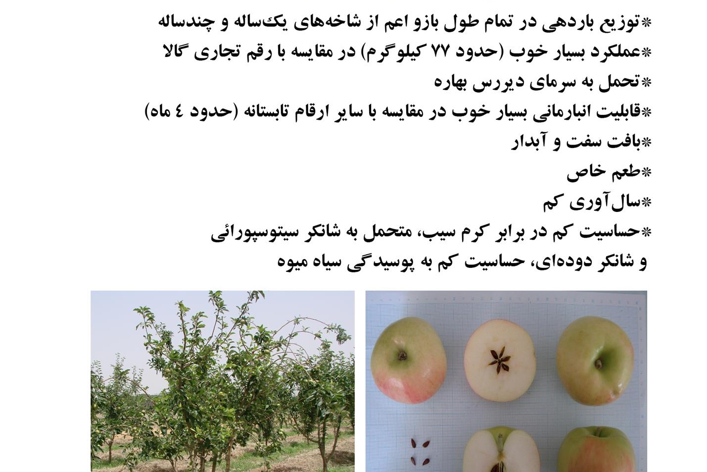 فن بازار