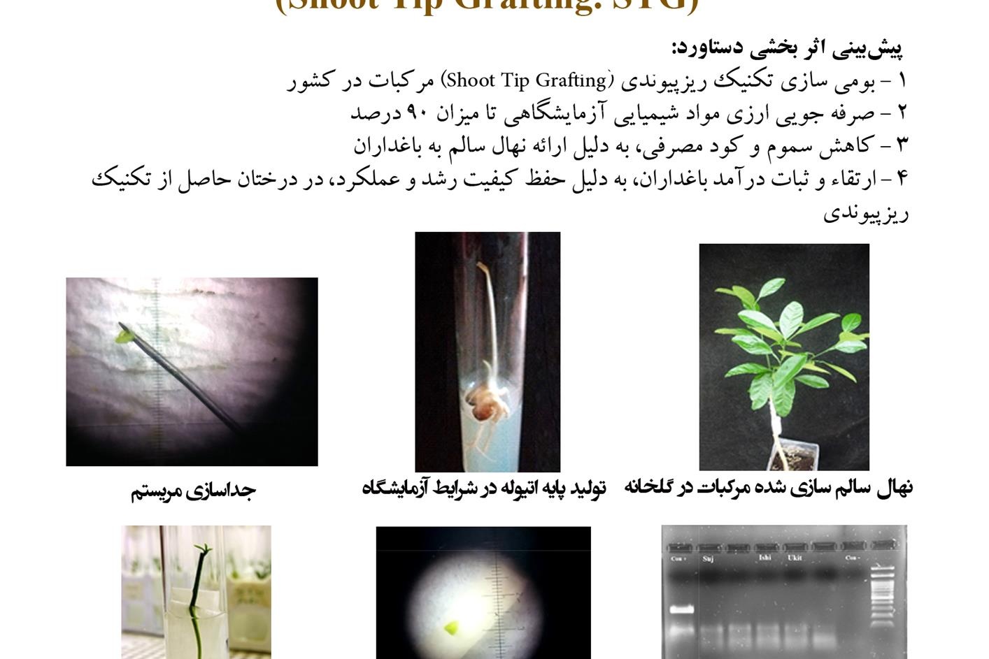 فن بازار