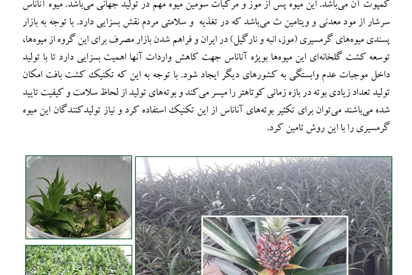 فن بازار