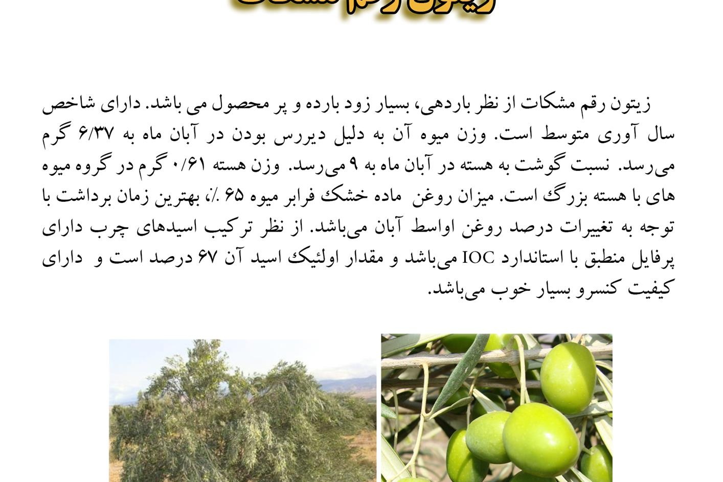 فن بازار