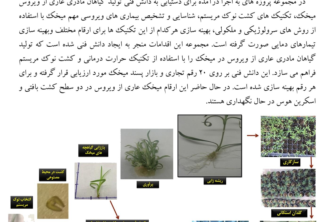 فن بازار