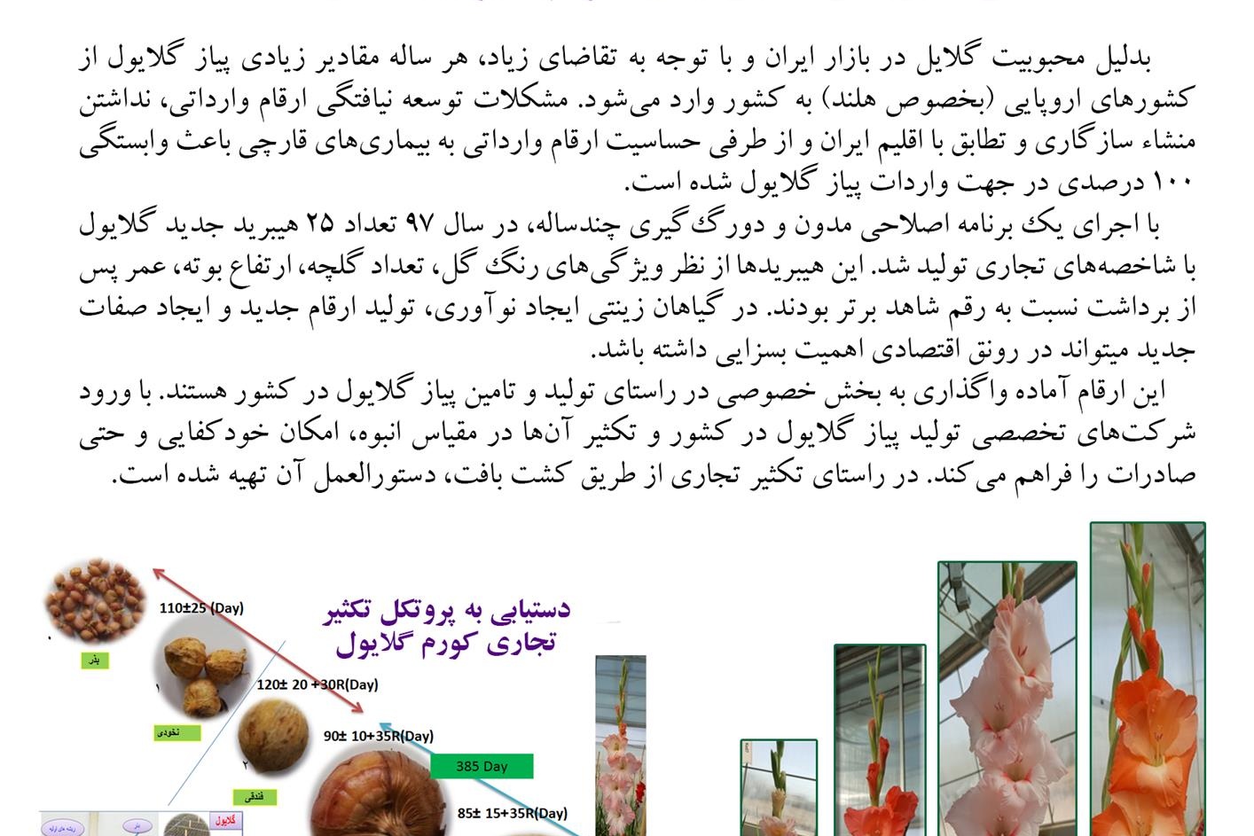 فن بازار