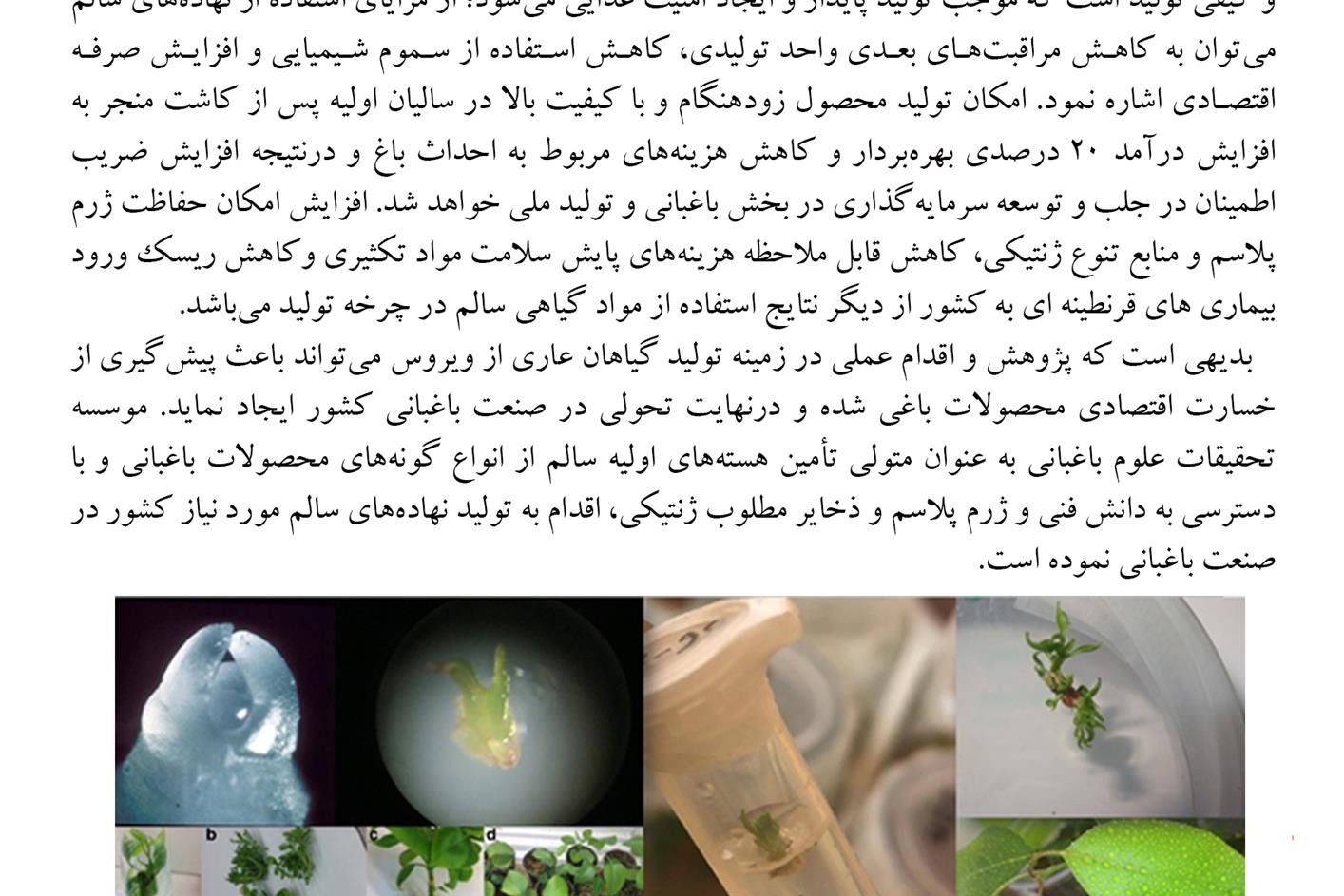 فن بازار