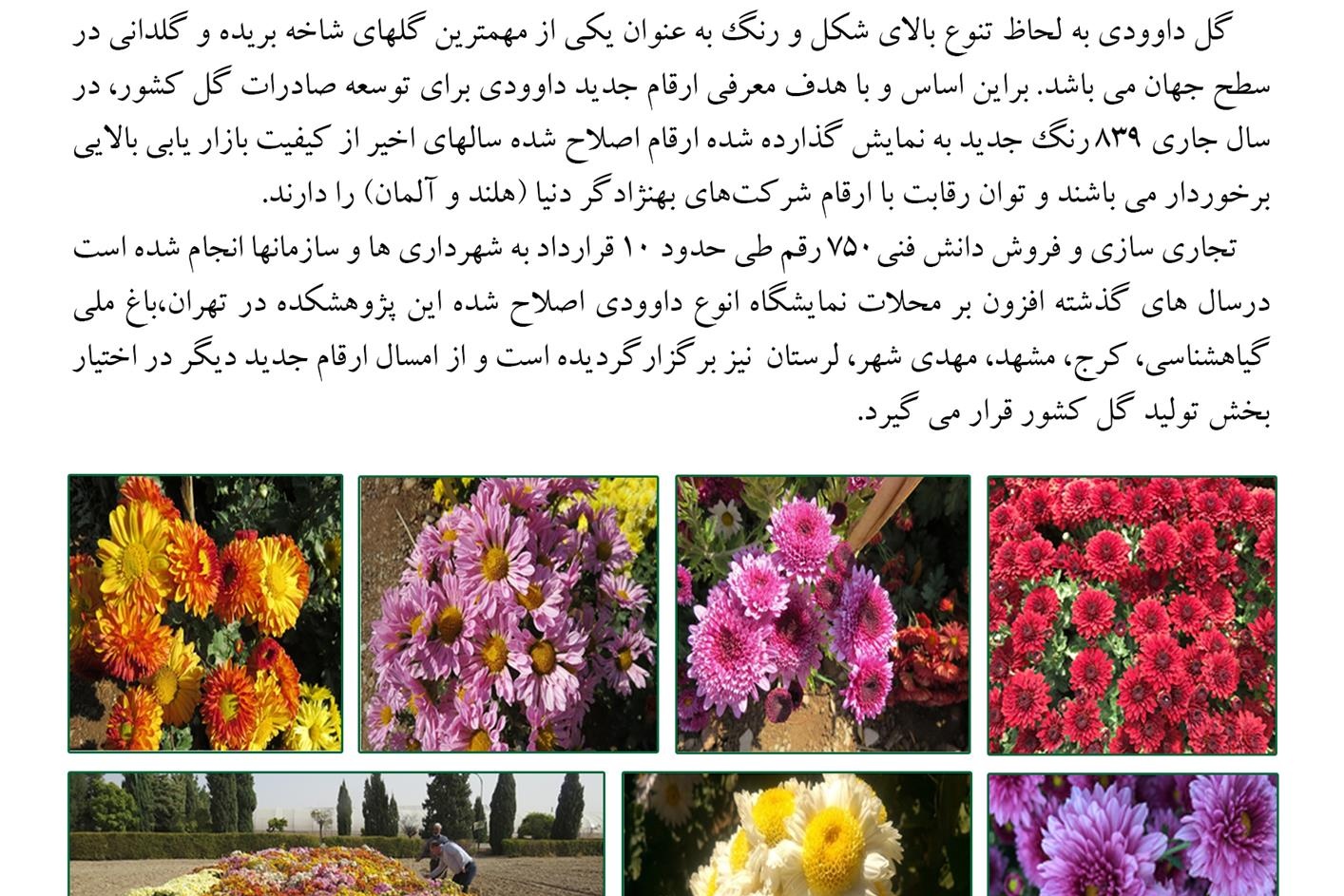 فن بازار