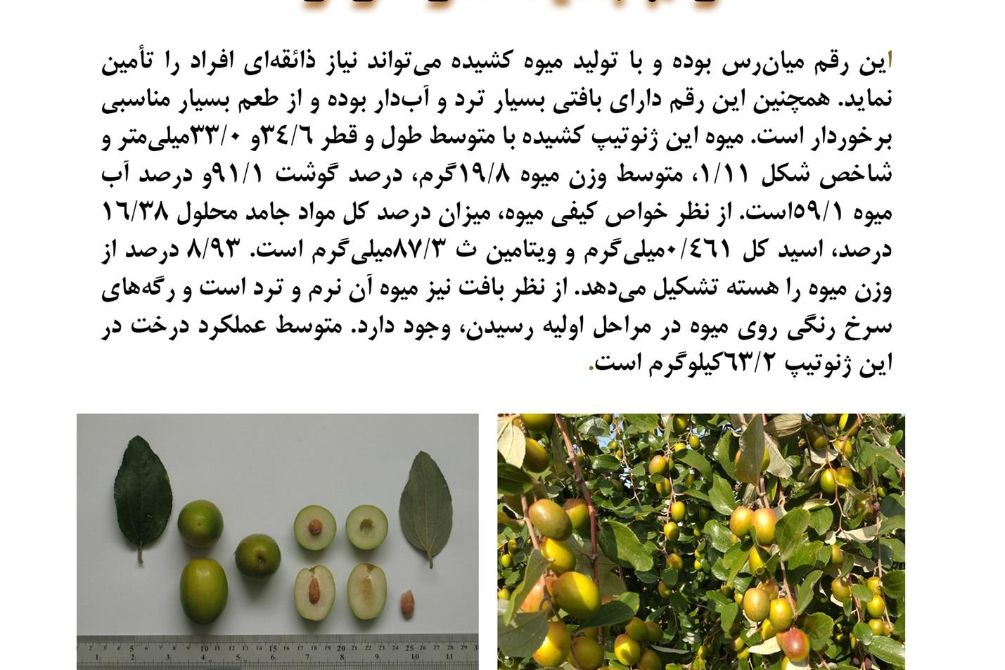 فن بازار