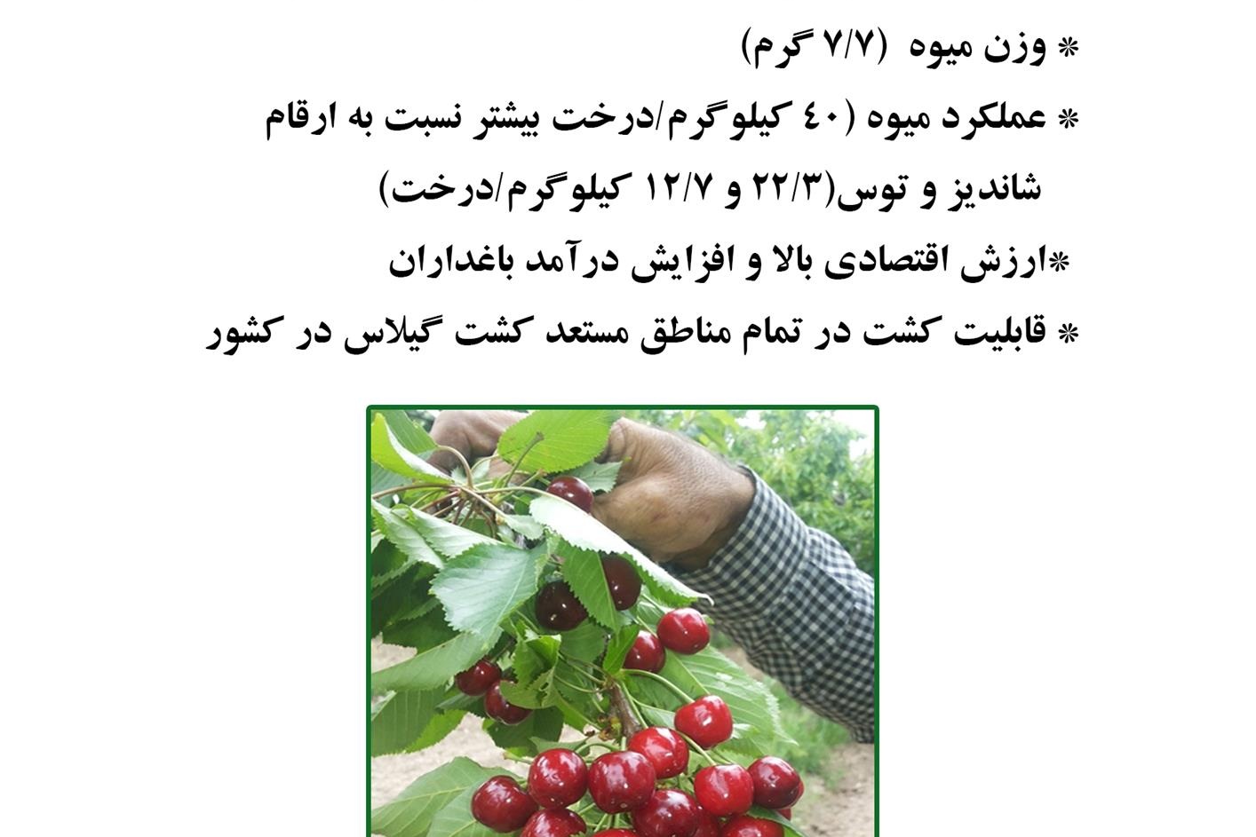 فن بازار
