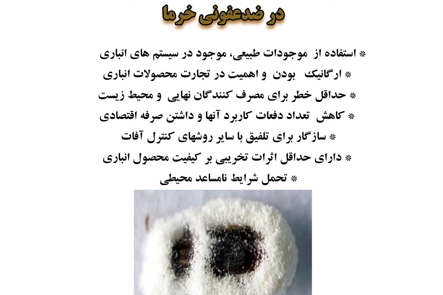 فن بازار