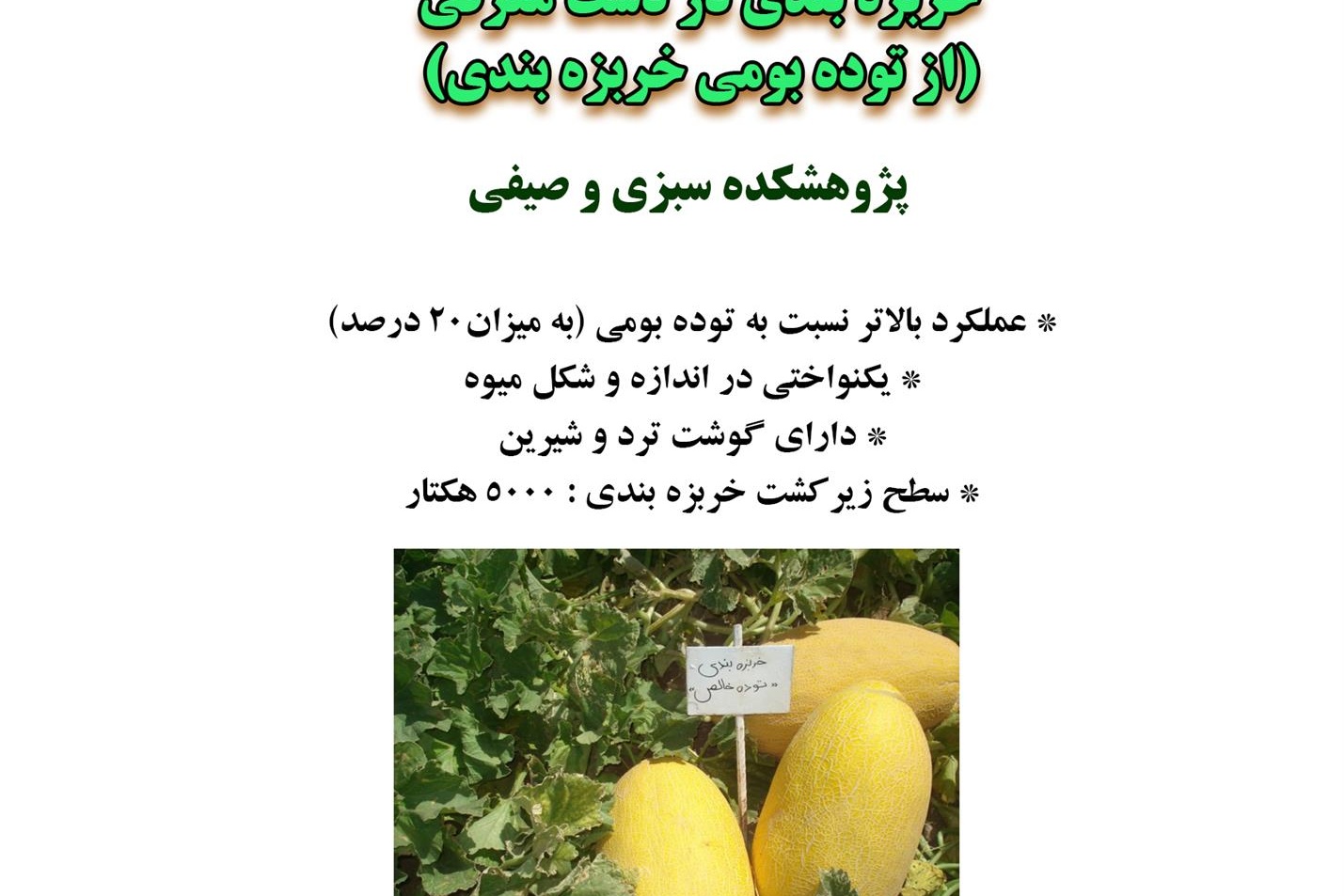 فن بازار