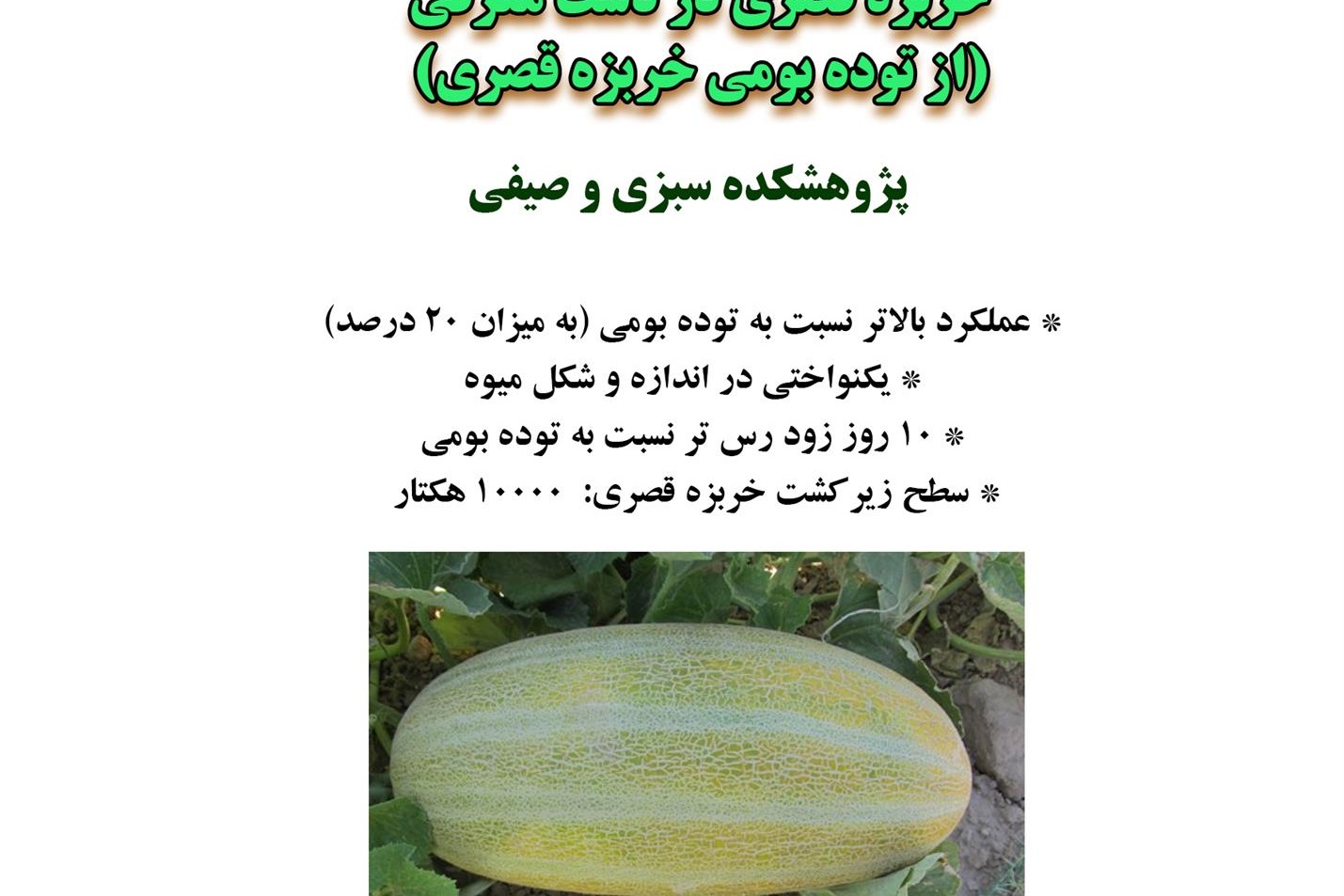 فن بازار