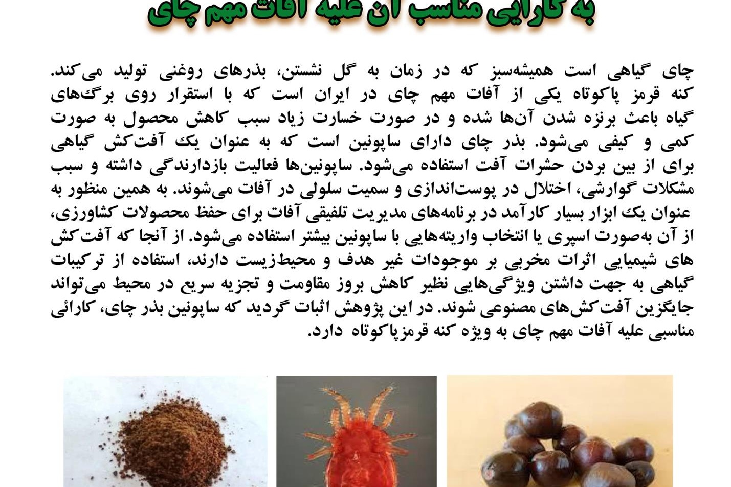 فن بازار