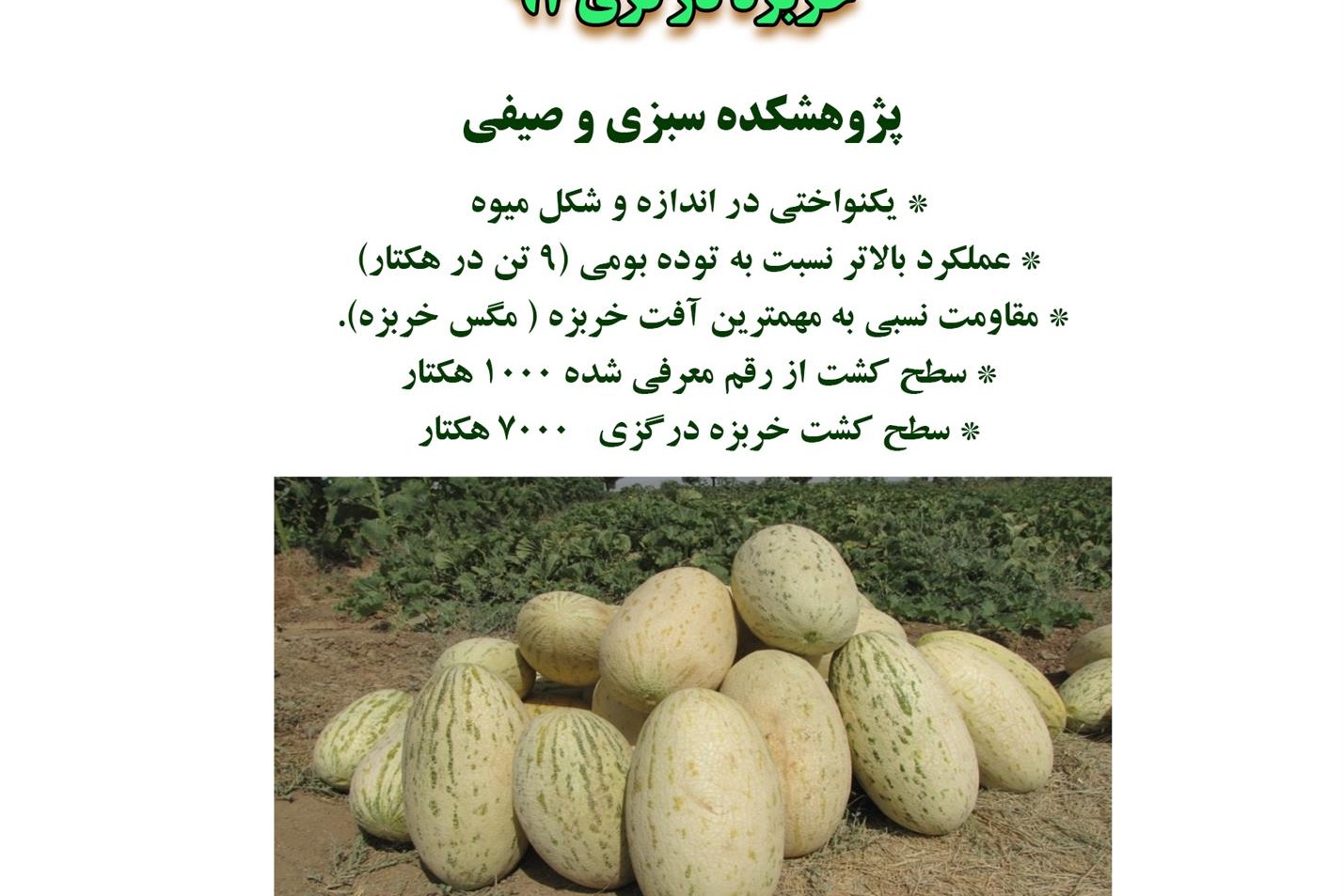 فن بازار