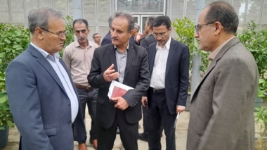 بازدید معاون وزیر و رئیس سازمان تحقیقات، آموزش و ترویج کشاورزی  از پژوهشکده مرکبات و میوه‌های نیمه‌گرمسیری