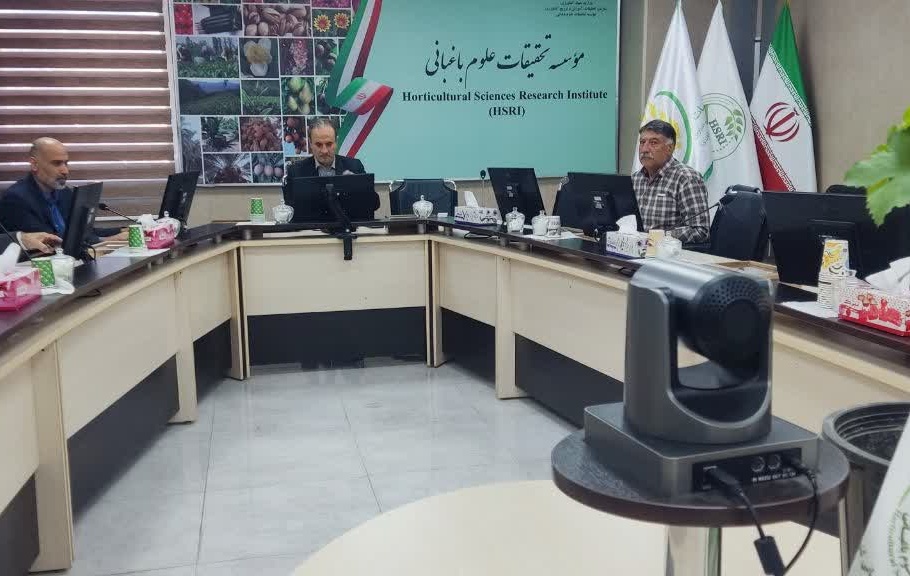 تأکید بر گذار به تولید نهال پیوندی انگور در کشور