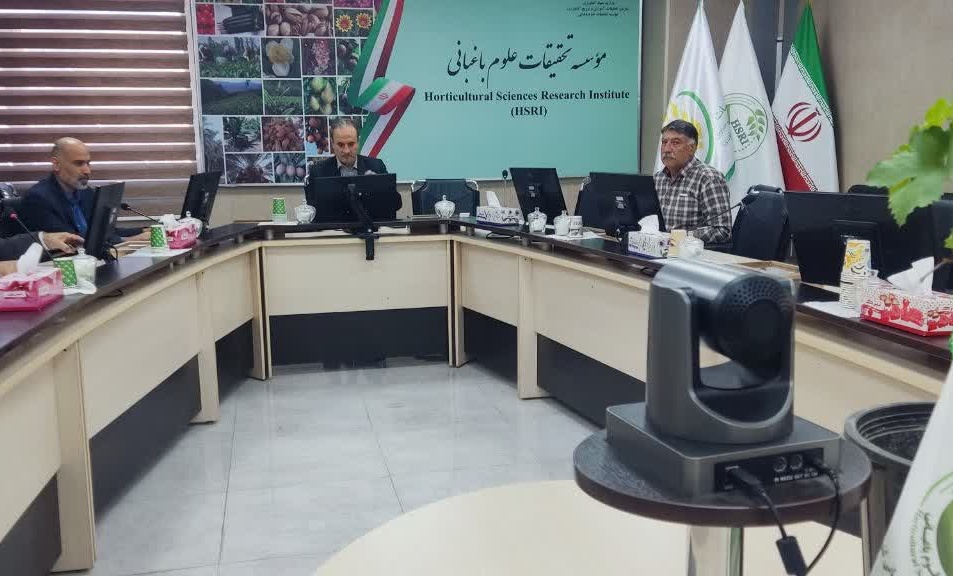 تأکید بر گذار به تولید نهال پیوندی انگور در کشور