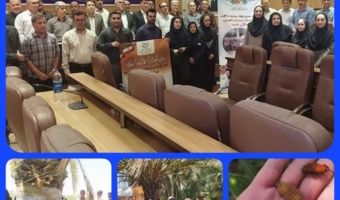 کارگاه آموزشی ترویجی تئوری ـ عملی مدیریت آفت سرخرطومی حنایی و خشکیدگی خوشه خرما و بازدید میدانی از نخلستان های شهرستان قیروکارزین در استان فارس