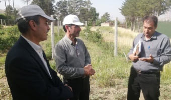 بازدید رئیس موسسه تحقیقات علوم باغبانی از برنامه‌های پژوهشی حوزه باغبانی استان کردستان