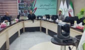 تأکید بر گذار به تولید نهال پیوندی انگور در کشور