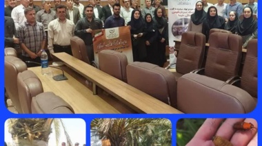 کارگاه آموزشی ترویجی تئوری ـ عملی مدیریت آفت سرخرطومی حنایی و خشکیدگی خوشه خرما و بازدید میدانی از نخلستان های شهرستان قیروکارزین در استان فارس